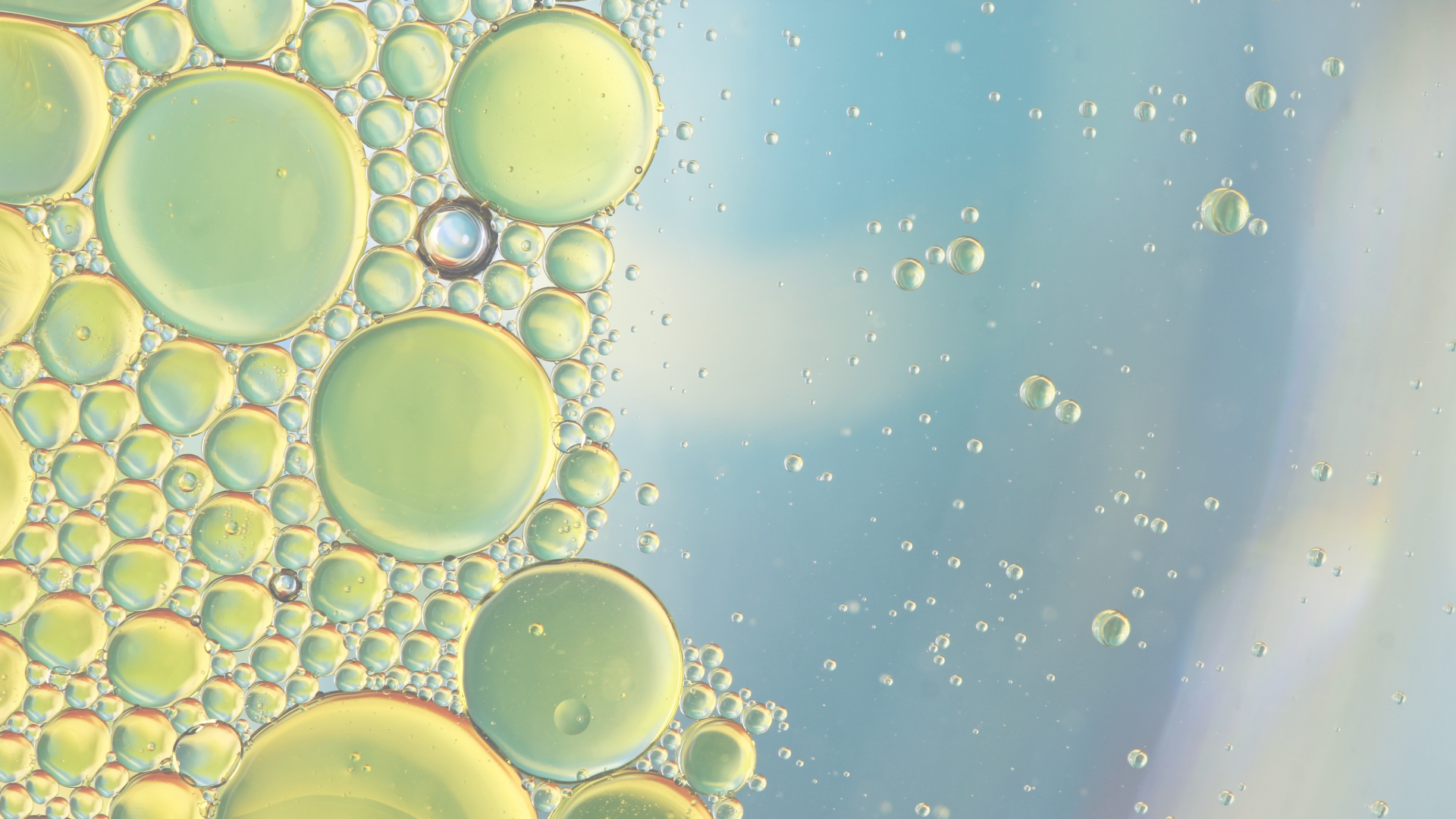 The Difference Between Oil-Based and Water-Based Skincare (And How to Know if It’s Right for You)
